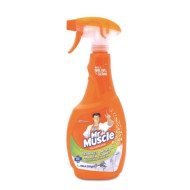 Mr Muscle Mold and Mildew Spray 500mL