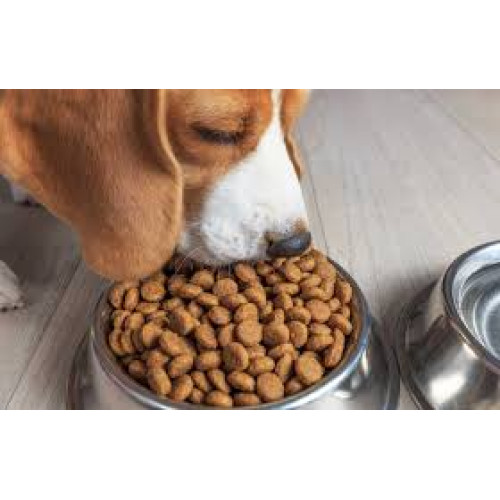 Purina Alpo Beef & Vegetables with Milk Essentials Puppy Dry Dog Food 1.3kg Purina Alpo Beef & Vegetables with Milk Essentials Puppy Dry Dog Food 1.3kg