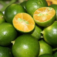 Calamansi 500g