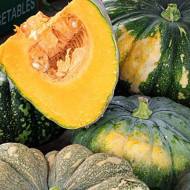 Squash 1/2kg Minimum Order