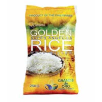Rice, Cereals and Grains